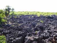 Hell, Grand Cayman Island in North Bay near Seven Mile Beach